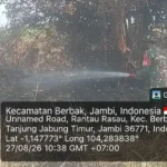 Cegah Kebakaran, Taman Nasional Berbak Sembilang Pulihkan Gambut dengan Sekat Kanal