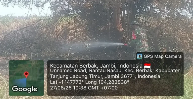 Cegah Kebakaran, Taman Nasional Berbak Sembilang Pulihkan Gambut dengan Sekat Kanal