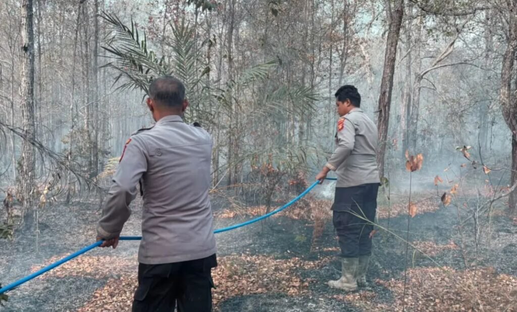 Nekat Bakar Lahan Secara Liar, 4 Warga Kutim Terancam Denda 3 Miliar!