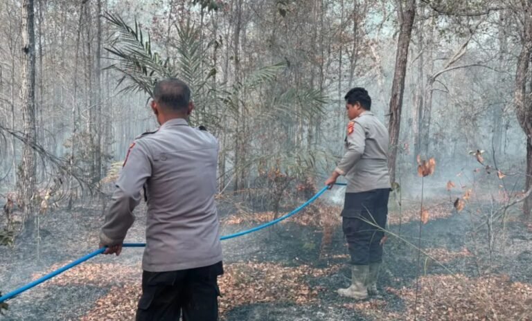 Nekat Bakar Lahan Secara Liar, 4 Warga Kutim Terancam Denda 3 Miliar!