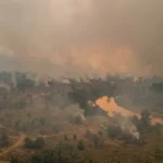 Kabut Asap Selimuti Nabire, ISPU Tembus 258 dan Penerbangan Dialihkan