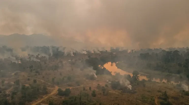 Kabut Asap Selimuti Nabire, ISPU Tembus 258 dan Penerbangan Dialihkan