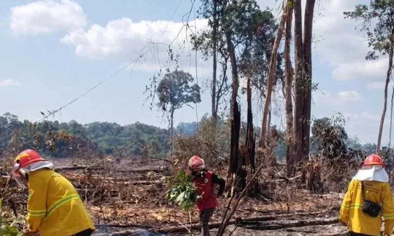 Ilustrasi kebakaran lahan dan kabut asap di perkebunan Kalimantan Timur